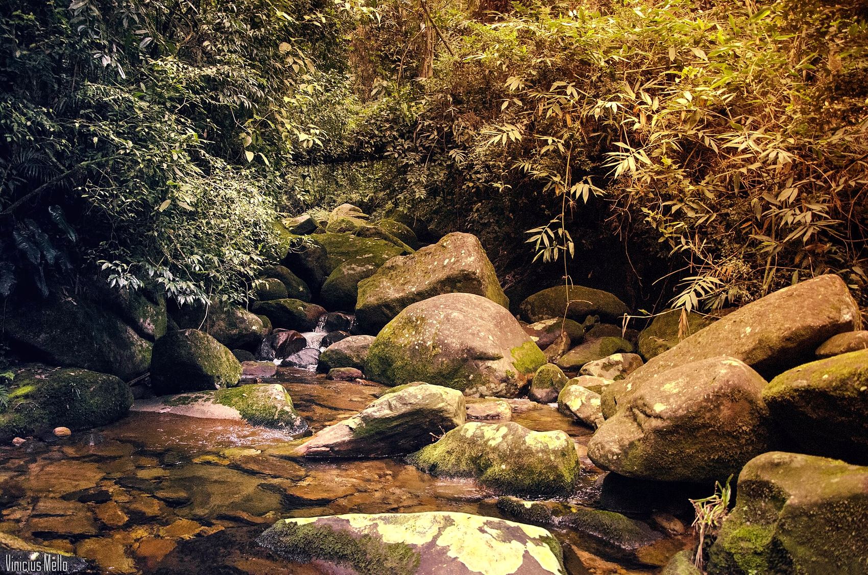 Cachoeira na mata, em Teresópolis