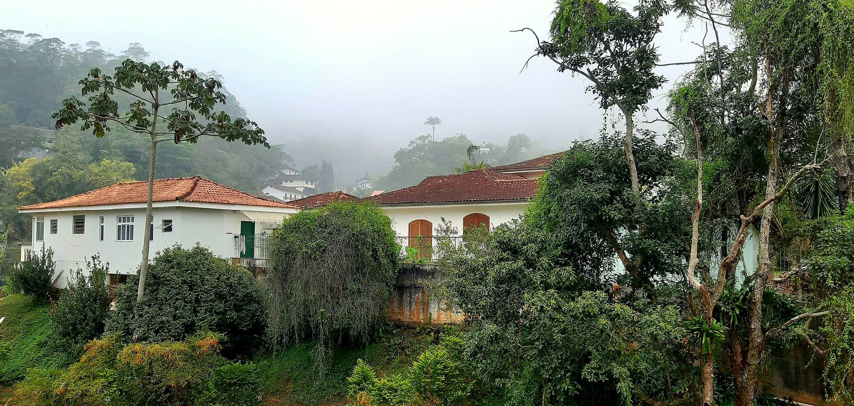 Casa de serra entre árvores altas, com neblina ao fundo, em Petrópolis